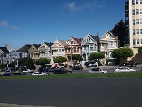 Obr.41 Painted ladies